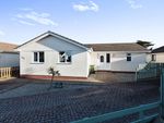 Thumbnail to rent in Lily Way, St. Merryn, Padstow