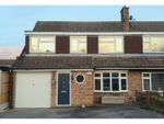 Thumbnail for sale in Braziers Close, Chelmsford