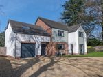 Thumbnail for sale in Sycamore Drive, Fakenham