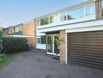Thumbnail to rent in Hopping Jacks Lane, Danbury, Chelmsford