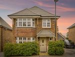 Thumbnail to rent in Aster Way, Haywards Heath