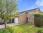 Thumbnail for sale in Hunt Close, Colchester, Essex