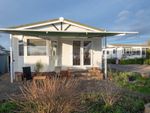 Thumbnail to rent in West End Park, Ingham