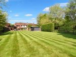 Thumbnail to rent in Common Road, Headley, Thatcham, Hampshire