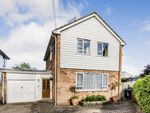 Thumbnail to rent in Bridon Close, East Hanningfield, Chelmsford