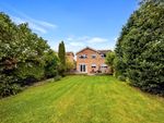 Thumbnail for sale in Dovecote Close, Monks Risborough, Princes Risborough