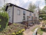 Thumbnail to rent in Lodgefield Park, Stafford
