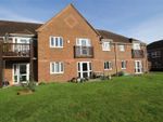 Thumbnail to rent in Adams Way, Alton, Hampshire