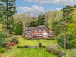 Thumbnail to rent in Picket Hill, Ringwood, Hampshire