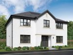 Thumbnail for sale in "Bridgeford Detached" at Muirhouses Crescent, Bo'ness