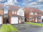 Thumbnail for sale in Brooklime Close, Hartlepool
