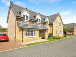 Thumbnail for sale in Hardwick Court, Holme, Peterborough