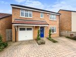 Thumbnail to rent in Cresta View, Houghton Le Spring