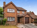 Thumbnail for sale in Roydon Close, Winchester