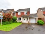 Thumbnail for sale in Fontwell Close, Fontwell, Arundel, West Sussex