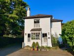Thumbnail to rent in The White House, Church Street, Wadhurst, East Sussex