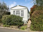 Thumbnail to rent in Wey Avenue, Penton Park, Chertsey, Surrey