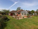 Thumbnail for sale in Blandford Road, Iwerne Minster