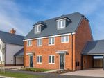 Thumbnail to rent in "Foxglove" at Water Lane, Angmering, Littlehampton