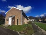 Thumbnail to rent in Radnor Drive, Morriston