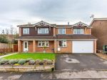 Thumbnail for sale in Leighwood Drive, Nailsea, Bristol