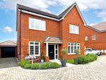 Thumbnail to rent in Severus Orchard, Shefford
