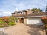 Thumbnail for sale in Grosvenor Close, Ashley Heath, Ringwood