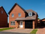 Thumbnail to rent in "Acorn" at Sulgrave Street, Barton Seagrave, Kettering