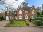 Thumbnail for sale in The Alders, West Byfleet