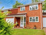 Thumbnail for sale in Balmoral Close, Southampton, Hampshire