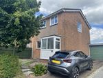 Thumbnail to rent in Wells Avenue, Feniton, Honiton