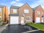 Thumbnail for sale in Buckthorn Grove, Middlesbrough