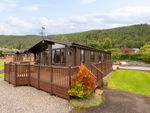 Thumbnail for sale in Pitch : Tmtm01004, Aberfeldy