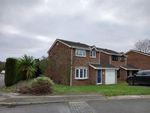 Thumbnail to rent in Lowforce, Wilnecote, Tamworth