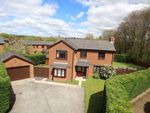 Thumbnail for sale in Beacons Park, Brecon