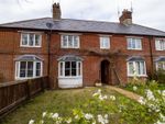 Thumbnail for sale in Petersfield Road, Cheriton, Alresford