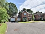 Thumbnail to rent in Denewood Close, Watford, Hertfordshire