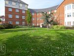 Thumbnail to rent in Axial Drive, Colchester, Essex
