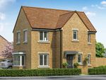 Thumbnail to rent in "The Windsor" at Chestnut Way, Newton Aycliffe