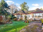 Thumbnail for sale in Batts Bridge Road, Maresfield, Uckfield, East Sussex