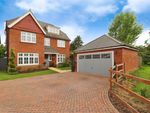Thumbnail for sale in Viola Road, Cawston, Rugby