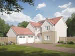 Thumbnail to rent in "The Doyle" at Arrochar Drive, Bishopton