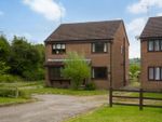 Thumbnail to rent in Mill Lane, Ampleforth, York