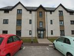Thumbnail to rent in Braes Of Gray, Liff, Dundee