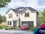 Thumbnail for sale in "The Westbury" at Sycamore Drive, Penicuik