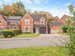 Thumbnail to rent in Grenville Close, Hethersett, Norwich, Norfolk