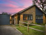 Thumbnail to rent in Ryecroft Meadow, Mannings Heath, Horsham