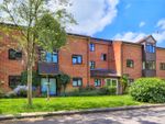 Thumbnail to rent in Sycamore Court, Long Gore, Godalming, Surrey