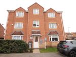 Thumbnail to rent in Mill View Road, Beverley