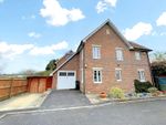 Thumbnail to rent in Drovers, Sturminster Newton